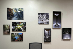 Gallery-12
